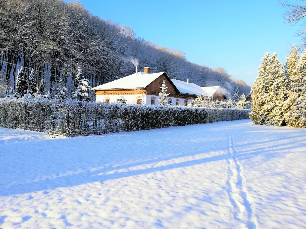Ferienwohnung Parva Foresta Miskolc Exterior foto